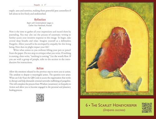 The Sacred Biodiversity Oracle : A 36-Card Deck and Guidebook