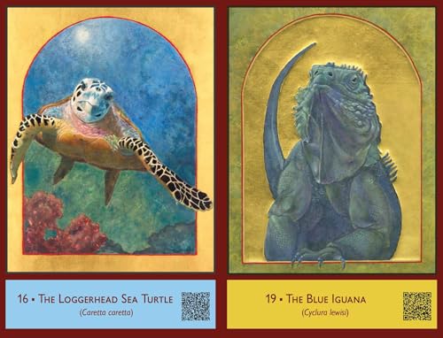The Sacred Biodiversity Oracle : A 36-Card Deck and Guidebook
