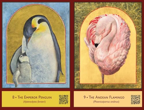 The Sacred Biodiversity Oracle : A 36-Card Deck and Guidebook