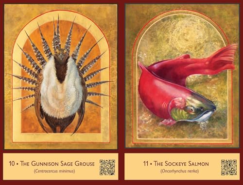 The Sacred Biodiversity Oracle : A 36-Card Deck and Guidebook