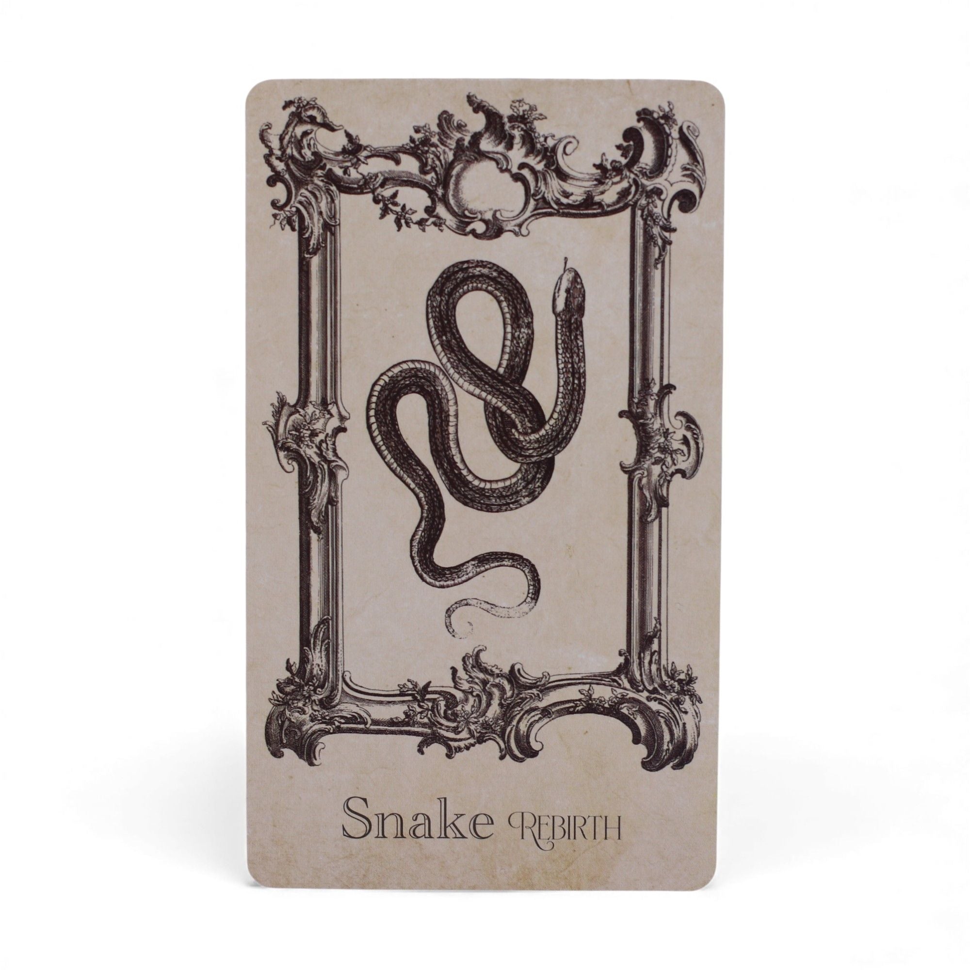 The Spellbook Oracle Cards- Witchcraft Deck Cards