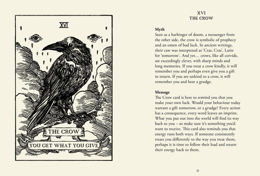 The Storm Cloud Oracle : Harness bad omens for everyday guidance and cosmic wisdom