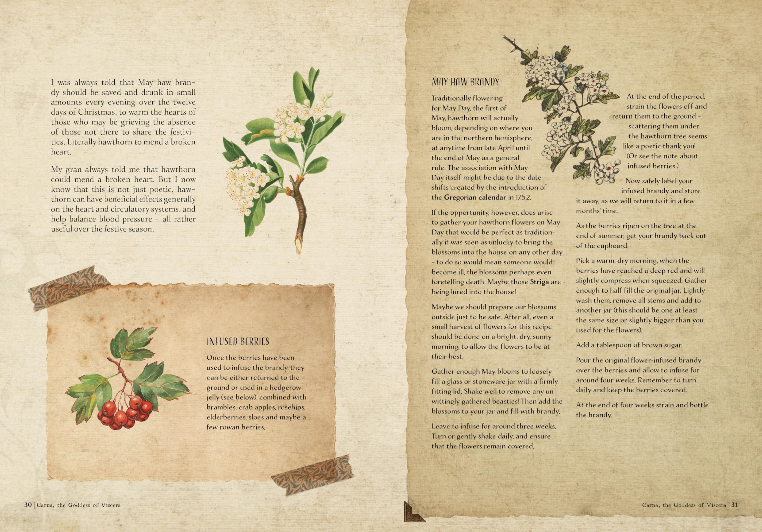 The Time Traveller's Herbal : Stories and Recipes from the Historical Apothecary Cabinet - Sold by Witch, Please!