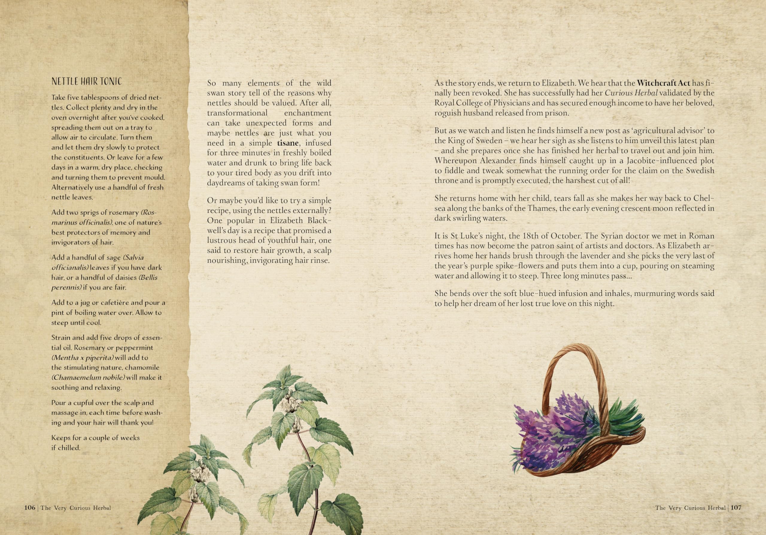 The Time Traveller's Herbal : Stories and Recipes from the Historical Apothecary Cabinet - Sold by Witch, Please!