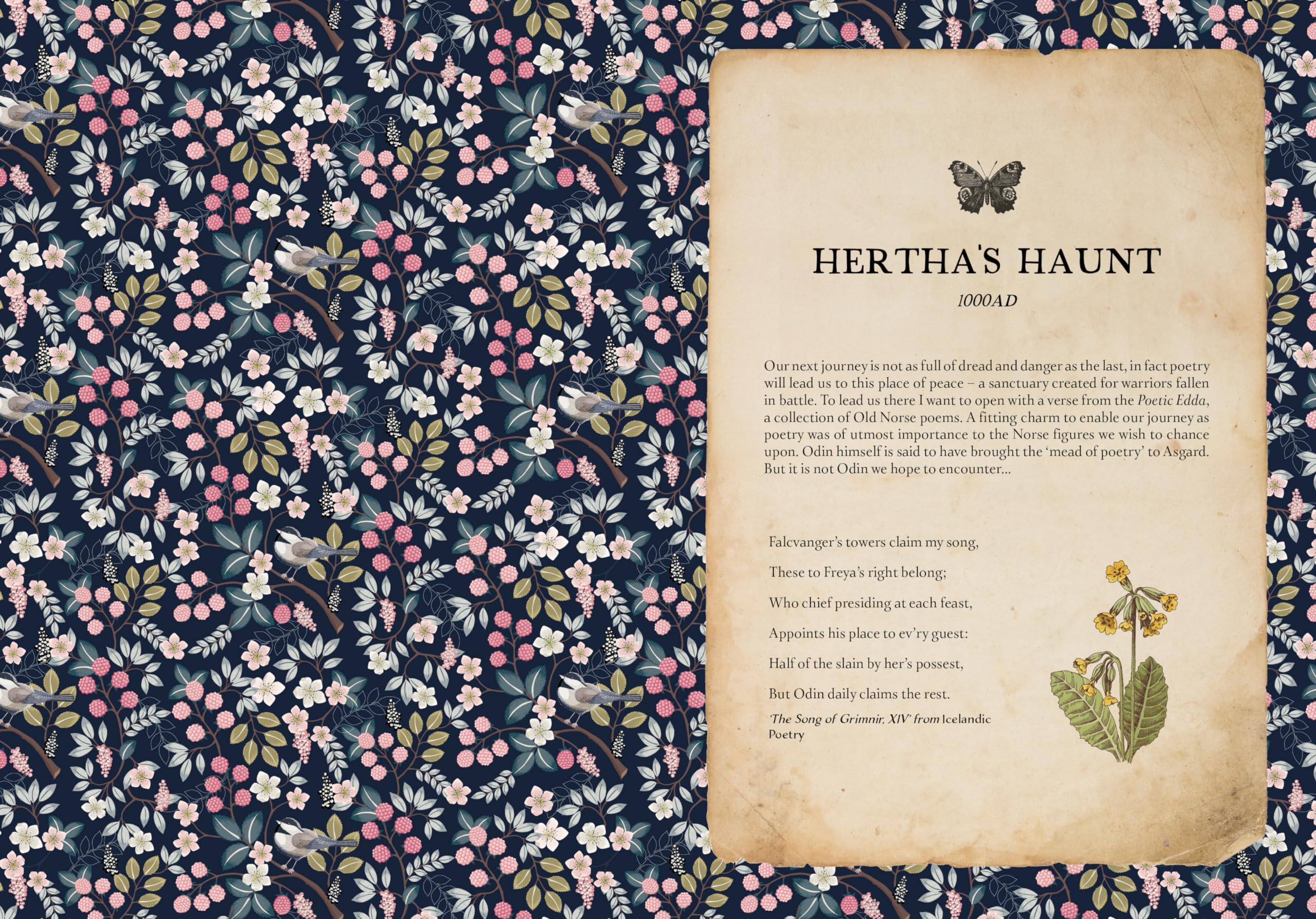 The Time Traveller's Herbal : Stories and Recipes from the Historical Apothecary Cabinet - Sold by Witch, Please!