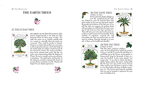 The Tree Magick Oracle Deck: Includes 52 Cards and a 64-Page Illustrated Book Mixed media product