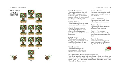 The Tree Magick Oracle Deck: Includes 52 Cards and a 64-Page Illustrated Book Mixed media product