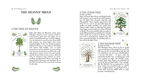 The Tree Magick Oracle Deck: Includes 52 Cards and a 64-Page Illustrated Book Mixed media product