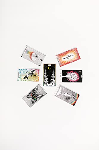 The Wild Unknown Pocket Tarot Hardback Book