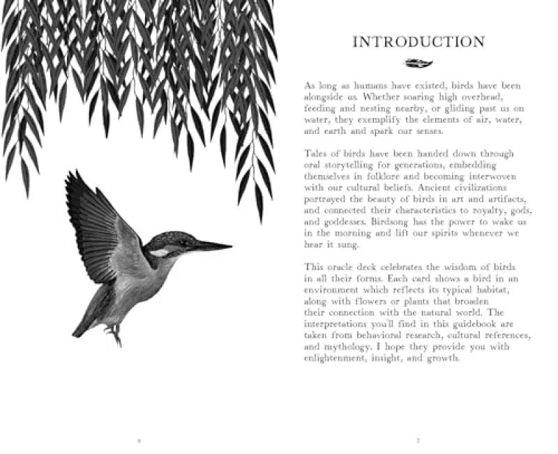 The Wisdom of Birds : Oracle Deck & Guidebook