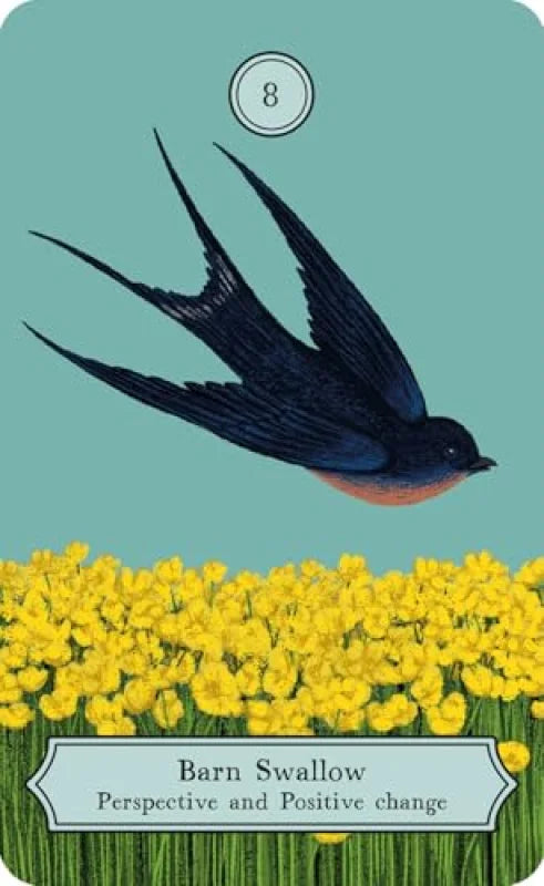 The Wisdom of Birds : Oracle Deck & Guidebook