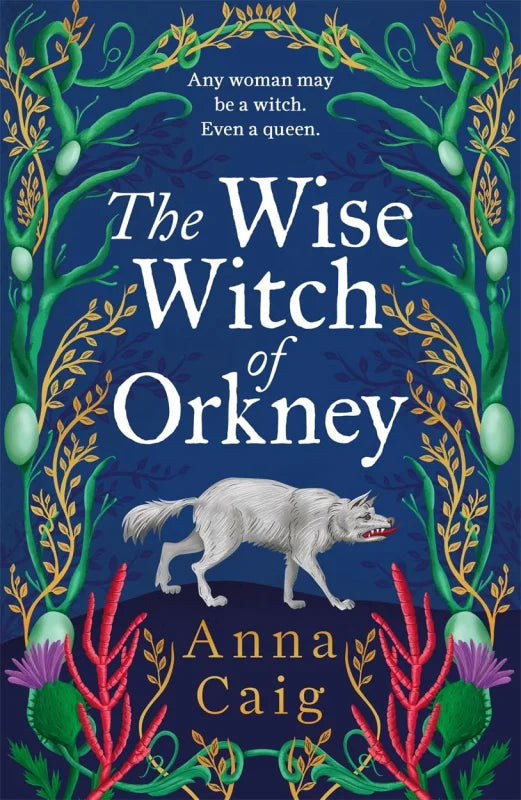 The Wise Witch of Orkney : A spell-binding debut novel about Scotland’s witch-hunting hysteria