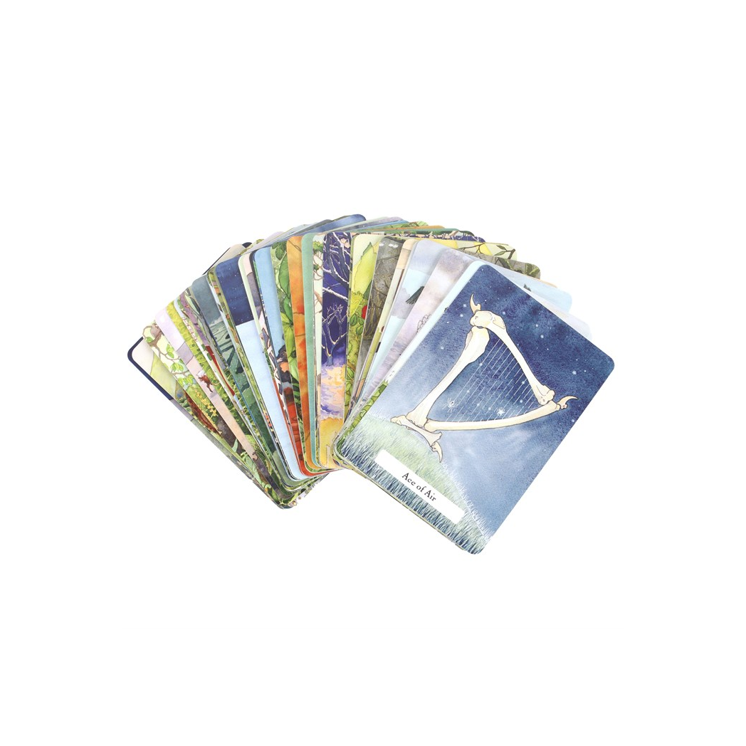 The Witches' Wisdom Tarot Cards Standard Edition From Witch, Please!