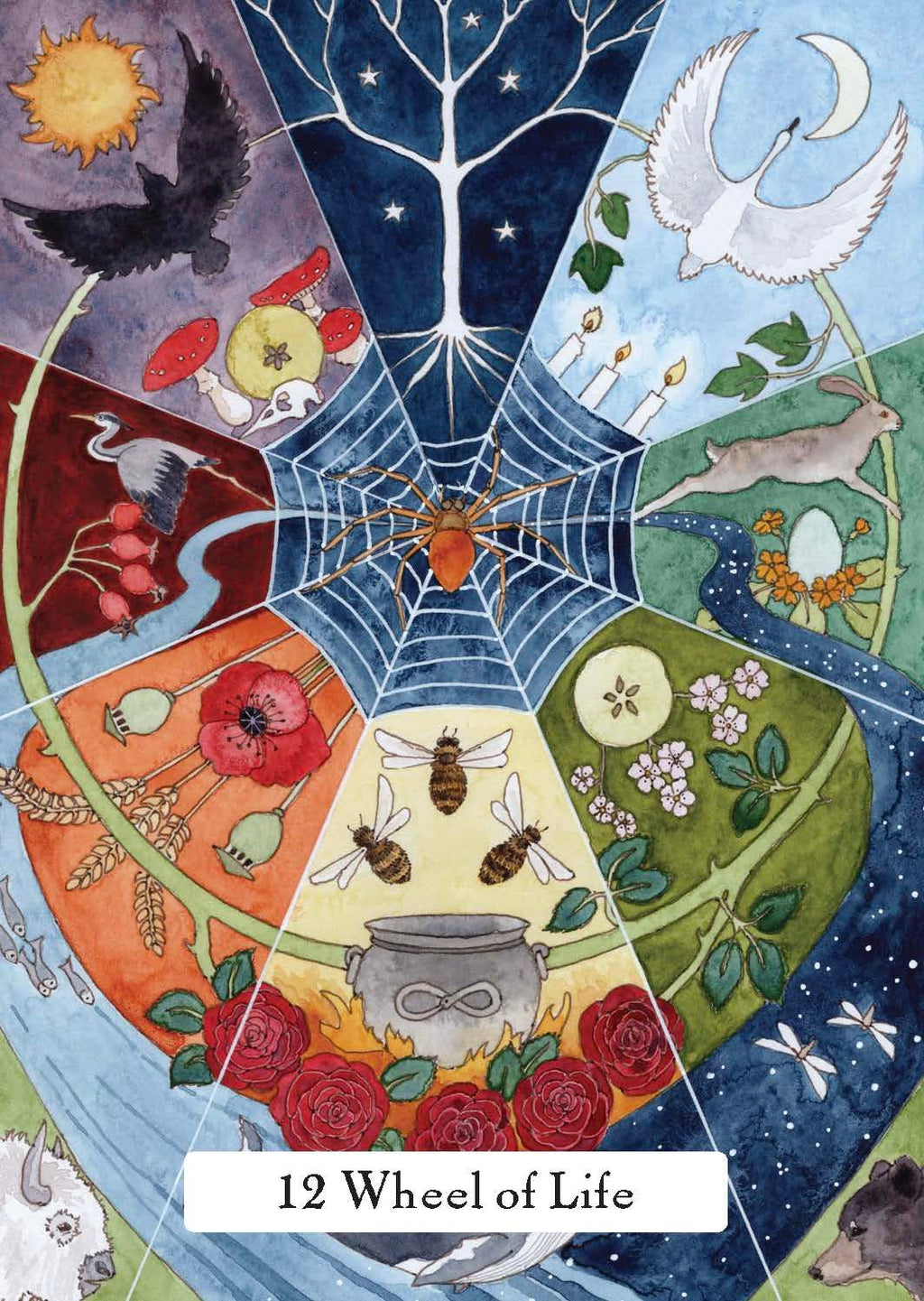 The Witches’ Wisdom Tarot (Standard Edition): A 78-Card Deck and Guidebook Cards