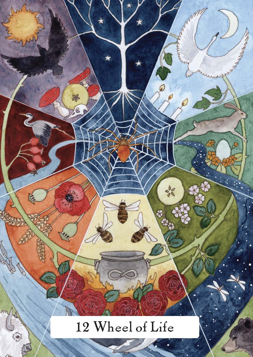 The Witches’ Wisdom Tarot (Standard Edition): A 78-Card Deck and Guidebook Cards