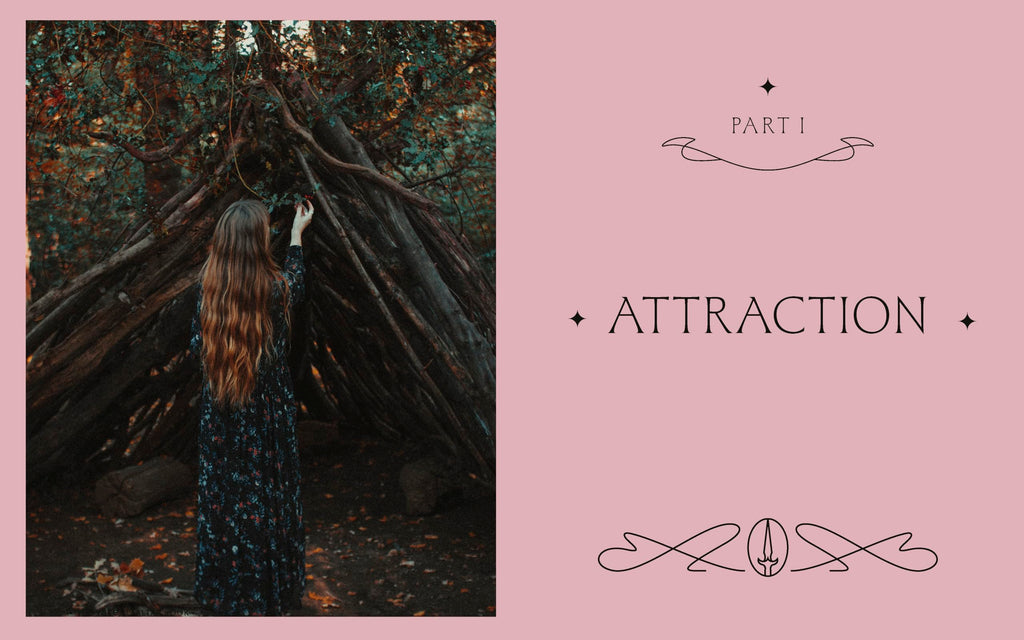 The Witch's Altar Book : The definitive guide to modern witchcraft