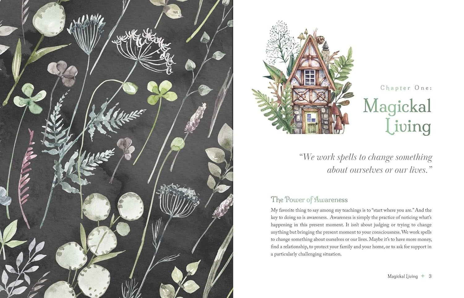 The Witch’s Apothecary: Seasons of the Witch: Learn how to make magical potions around wheel year improve your physical