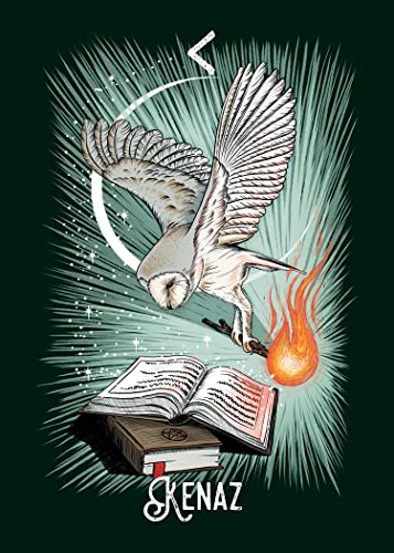 The Witch’s Familiar Runic Oracle: A 24-Card Deck and Guidebook Cards