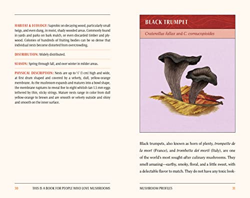 This Is a Book for People Who Love Mushrooms