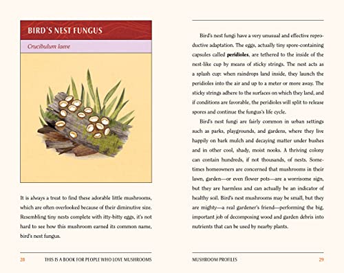 This Is a Book for People Who Love Mushrooms