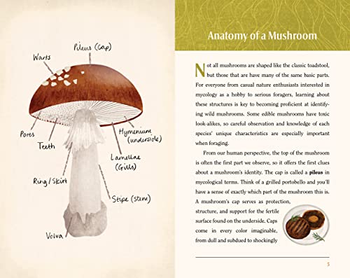 This Is a Book for People Who Love Mushrooms