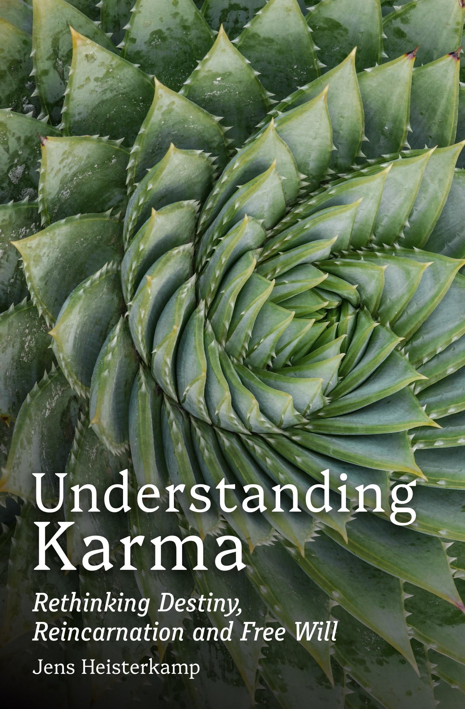 Understanding Karma : Rethinking Destiny, Reincarnation and Free Will - Sold by Witch, Please!