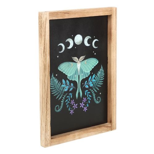 Luna Moth Wooden Framed Wall Art From Witch, Please!