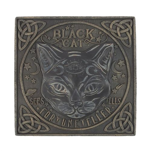Black Cat Stepping Stone From Witch, Please!