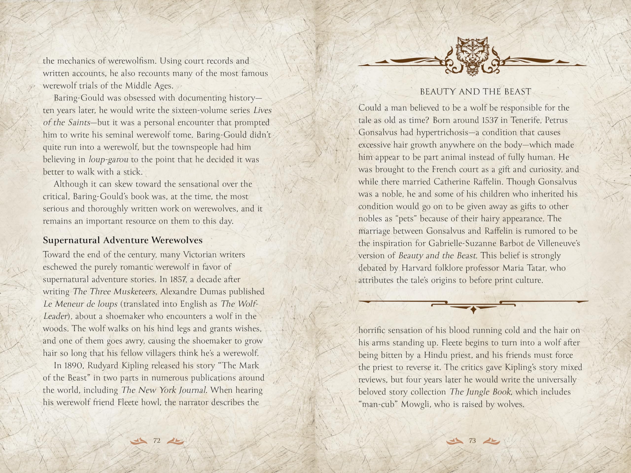 Werewolves : A Handbook of History & Lore of the Creatures of the Night