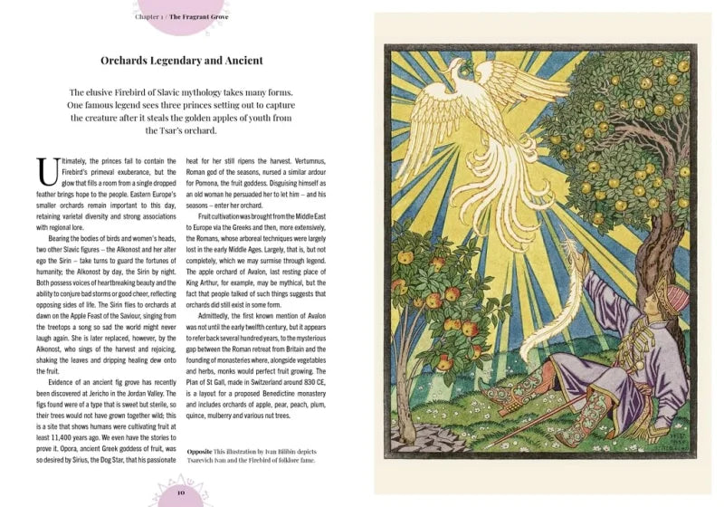 Witch's Orchard : The magic and folklore of fruit, nuts and nature's sweet harvest