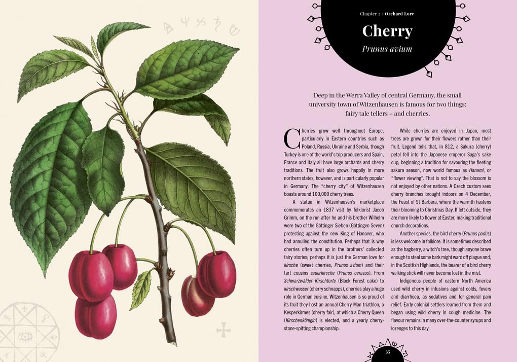 Witch's Orchard : The magic and folklore of fruit, nuts and nature's sweet harvest