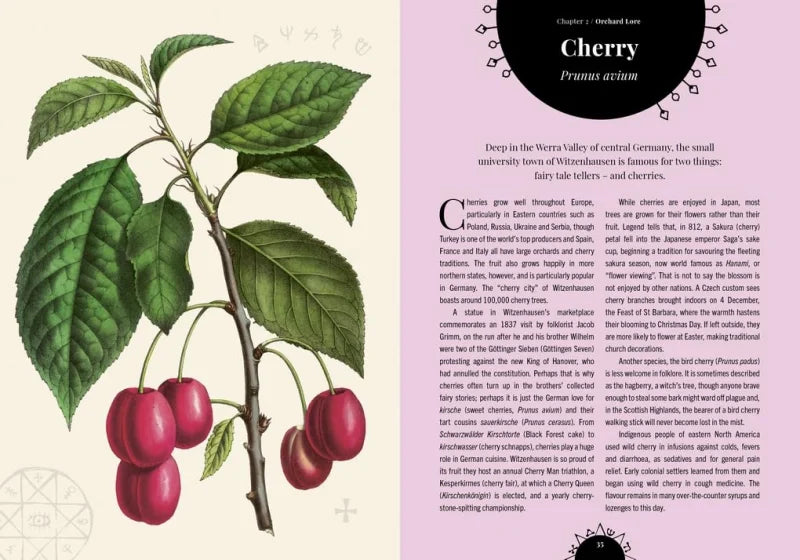 Witch's Orchard : The magic and folklore of fruit, nuts and nature's sweet harvest