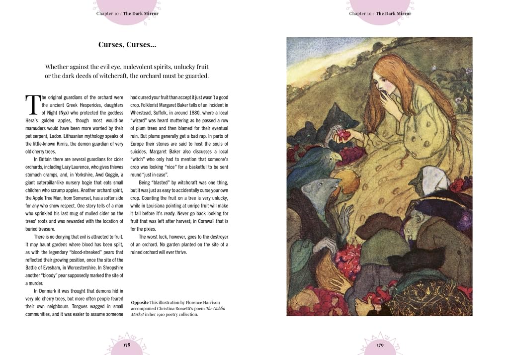 Witch's Orchard : The magic and folklore of fruit, nuts and nature's sweet harvest