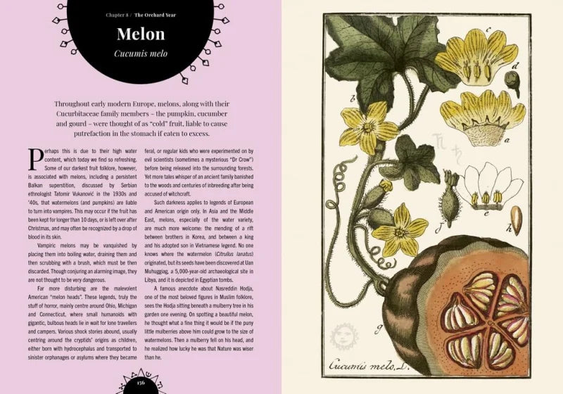 Witch's Orchard : The magic and folklore of fruit, nuts and nature's sweet harvest
