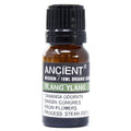 Ylang Ylang Organic Essential Oil 10ml From Witch, Please!